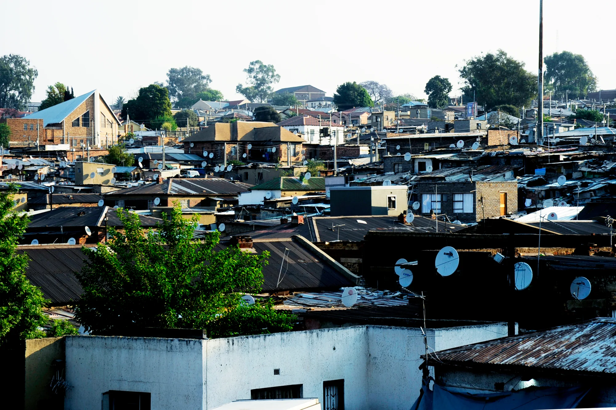 Homes and rooftops across Alexandra
